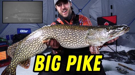 Ice Fishing Big Pike Insane Underwater Footage Youtube