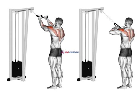 Cable Rear Delt Row With Rope Home Gym Review