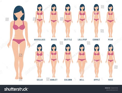 Female Body Shape Types Apple Pear Stock Vector Royalty Free 1528431818 Shutterstock