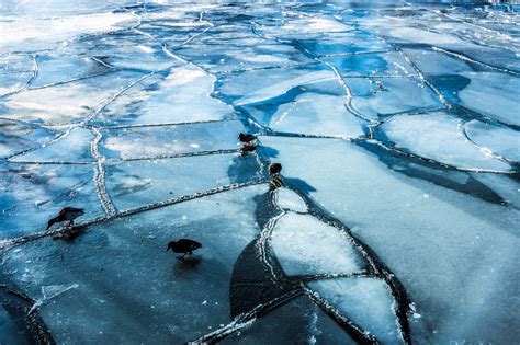 Wallpaper Sea Water Reflection Snow Winter Blue Ice Frost