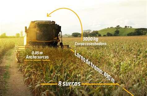 Estimaciones de rendimiento en tu cultivo de maíz DEKALB Colombia