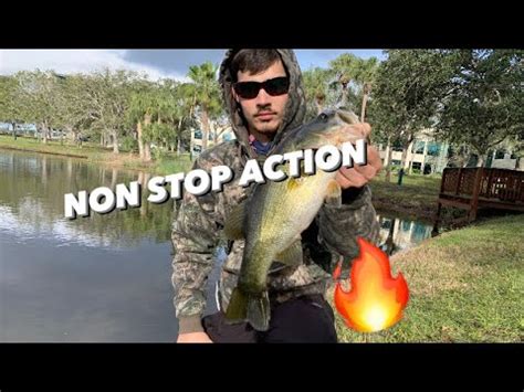 Topwater Bass Fishing In Cold Water YouTube