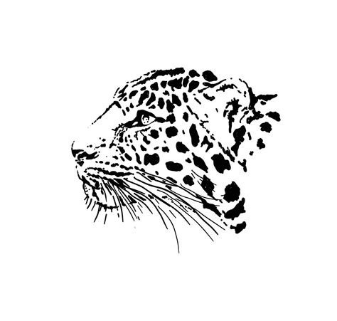 Leopard Head Graphics Vector 3031311 Vector Art At Vecteezy