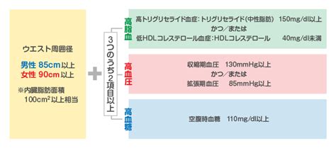 メタボリックシンドロームの判断基準 日本保健学会