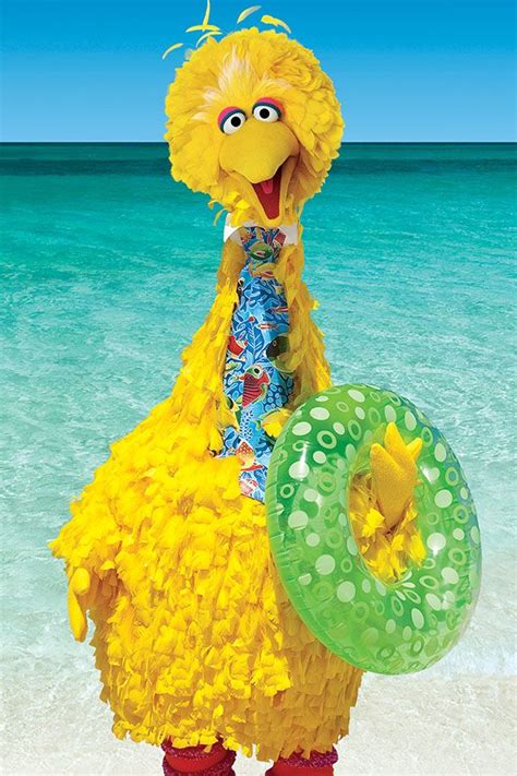 Kids Can Explore The Colorful Birds That Live In The Caribbean With A