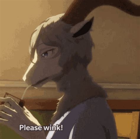 Beastars Pina Beastars  Beastars Pina Beastars Find Og Del Fer
