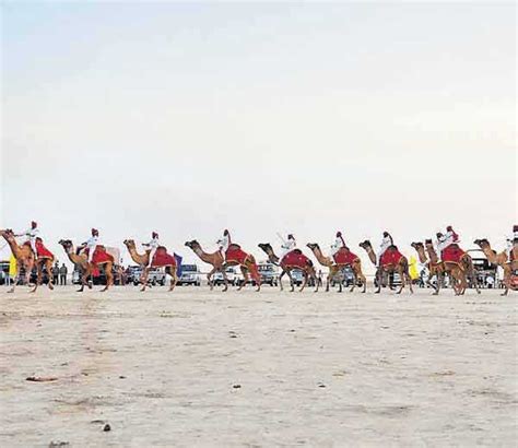 Kutch Rann Utsav: Full Moon Celebrations in White Sand