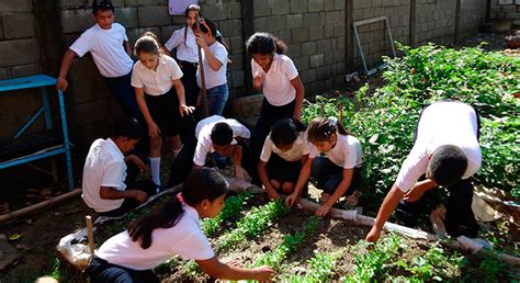 Huertos escolares educación y autoconsumo Secretaría de Agricultura