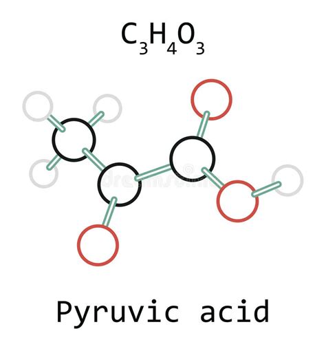 Pyruvic Acid Stock Illustrations 50 Pyruvic Acid Stock Illustrations Vectors And Clipart