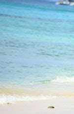 JOURDAN DUNN In Bikini At A Beach In Barbados 12 24 2016 HawtCelebs