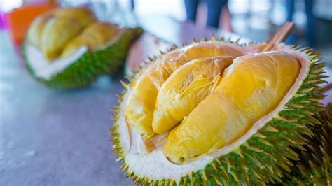 Durian Bawor Buah Lokal Pesaing Montong Apa Keunggulannya Sih