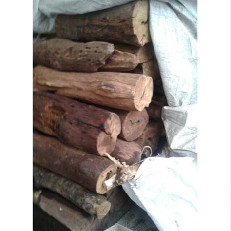 Jual Kayu Gaharu Buaya Asli Kalimantan Perkilo Shopee Indonesia