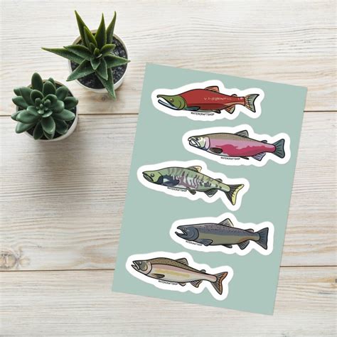 Salmon Sticker Pack Etsy