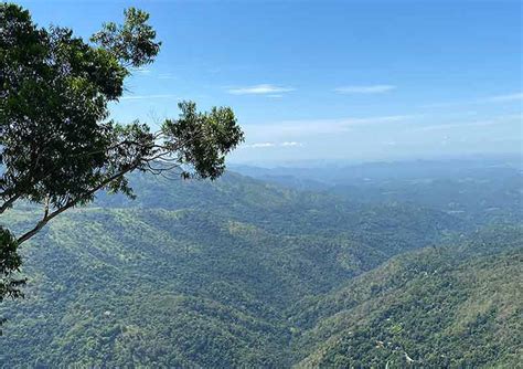 Hiking In Sri Lanka Breathtaking Trails At The Pekoe Trail