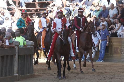 Palio La Giraffa Vince La Provaccia