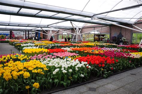 Irmanmawardi Keukenhof Taman Bunga Tercantik Di Dunia