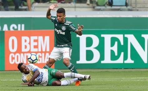 Palmeiras X Chapecoense 29 04 2018 O Jogador Marcos Roch Flickr