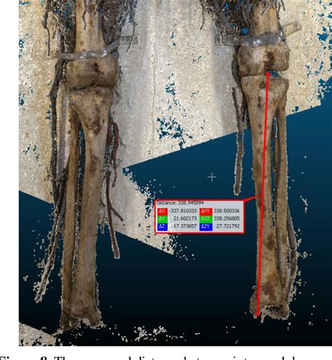 Figure From The D Reconstruction Of The Sansevero Chapel Anatomical