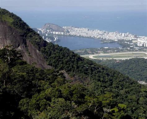 Preserva O Das Reas Verdes Lembrada No Dia Da Mata Atl Ntica