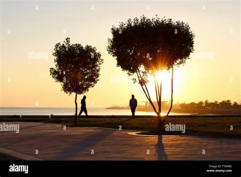 the rising sun Stock Photo - Alamy