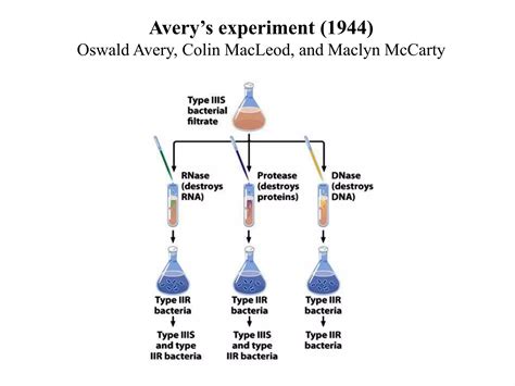 Molecular Biology Spots Pptx