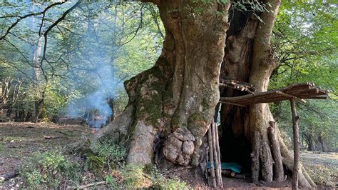 Building Complete And Warm Survival Shelter In The Trunk Bushcraft