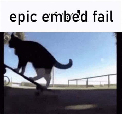 "Epic Embed Fail Cat GIF" – "Epic Embed Fail Cat Cat Skateboard ...