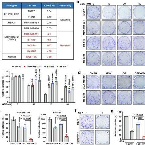 Autophagy Inhibition Sensitizes Breast Cancer Cells To PRMT5