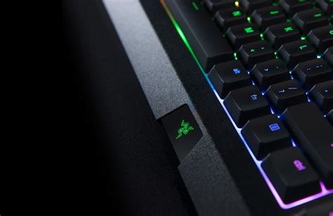 Multi Colored Gaming Keyboard Razer Cynosa Chroma