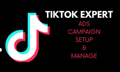 Setup And Manage Tik Tok Ads Tik Tok Ads Manager Tiktok Marketing Tik