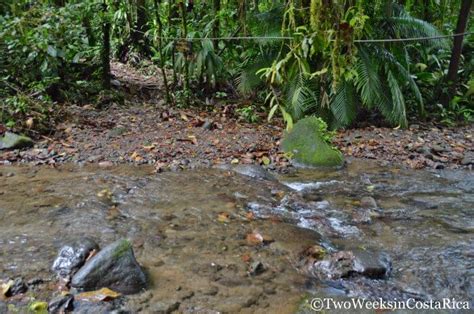 Braulio Carrillo National Park Wild Jungle Near San Jose Two Weeks