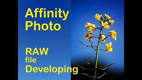 Affinity Photo Raw Processing Youtube Photo Tutorial Videos