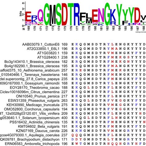 Consensus Sequence For A Highly Conserved Region In Predicted