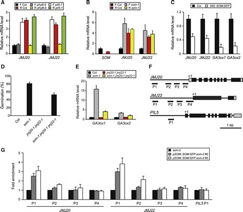 Control Of Seed Germination By Light Induced Histone Arginine