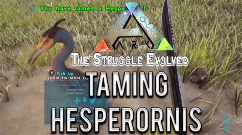 Ark Easiest Way To Tame A Hesperornis Xbox One Youtube