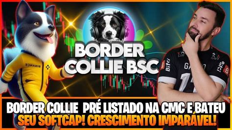 Border Collie Bsc Pr Listado Na Cmc E Crescimento Impar Vel Youtube