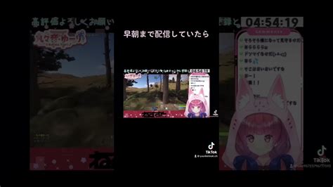 【rust】ちがう、そうじゃない【ねすすと 】 ゲーム情報【まとめ動画】