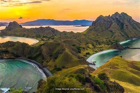 Melihat Keindahan Flores Pulau Bunga Yang Menakjubkan Superlive