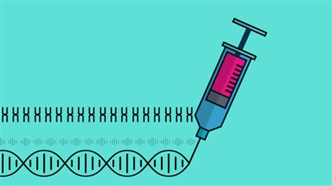 How is Genome Editing Used?