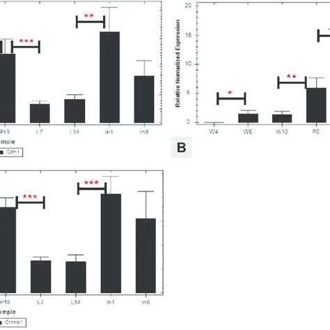 Core Tj Structure Composed Of Transmembrane Proteins Tj Associated