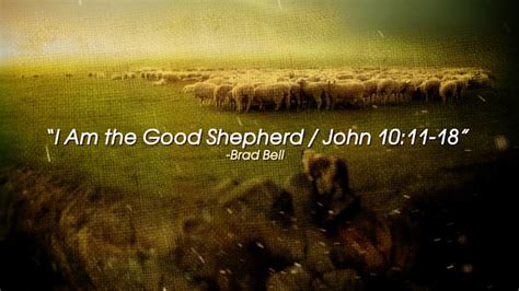 I Am The Good Shepherd John 1011 18 Weekly Sermons The Well