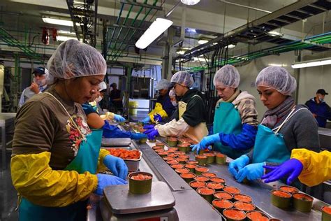 Se requiere operario de producción para tareas propias al cargo como