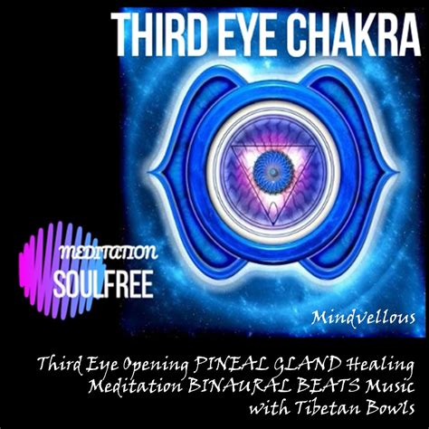 ‎Third Eye Opening Pineal Gland Healing Meditation Binaural Beats Music ...