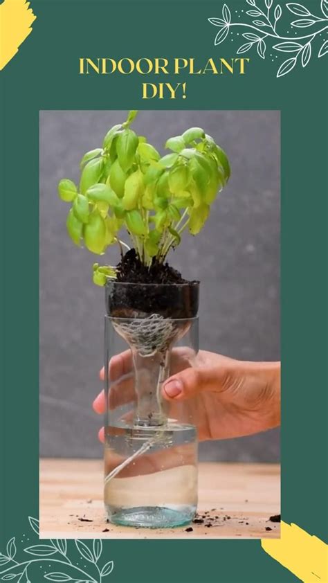 Hacks For Indoor Plants Diy