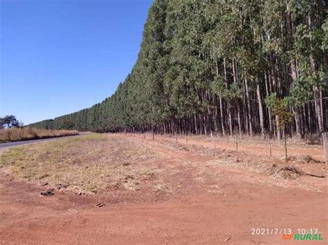 Maravalha Cavaco Serragem Pó de Serra em Formosa GO à