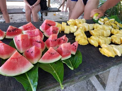 Snorkeling In Cahuita National Park And Coral Reef Willies Tours Cr