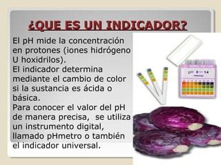 Identificacion De Sustancias Acidas Y Basicas De La Ppt