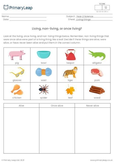 Living Non Living Or Once Living Sorting Activity