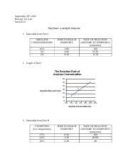 Enzyme Lab Report Docx September Th Biology Lab Section