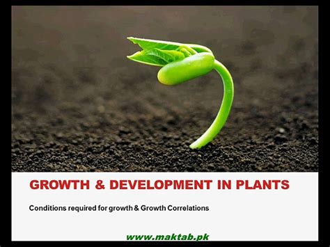 FSc Biology Book 2 CH 19 LEC 2 Growth And Development In Plants Part